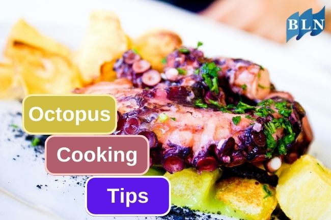 Tips On Cooking Octopus